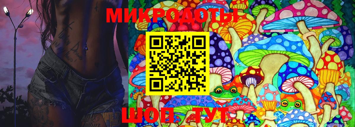 Псилоцибиновые грибы GOLDEN TEACHER  Псилоцибиновые грибы Magic Shrooms  где купить наркотик  Советск  Вход с VPN 